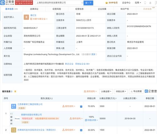 人工智能應用軟件開發 機遇、挑戰與實踐路徑
